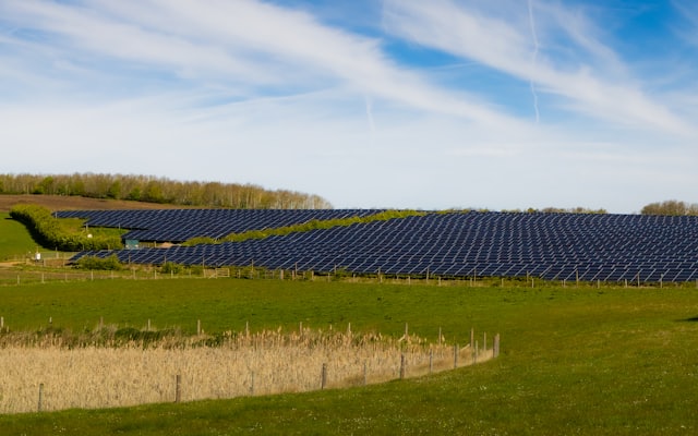 A large field of solar panels under a blue sky